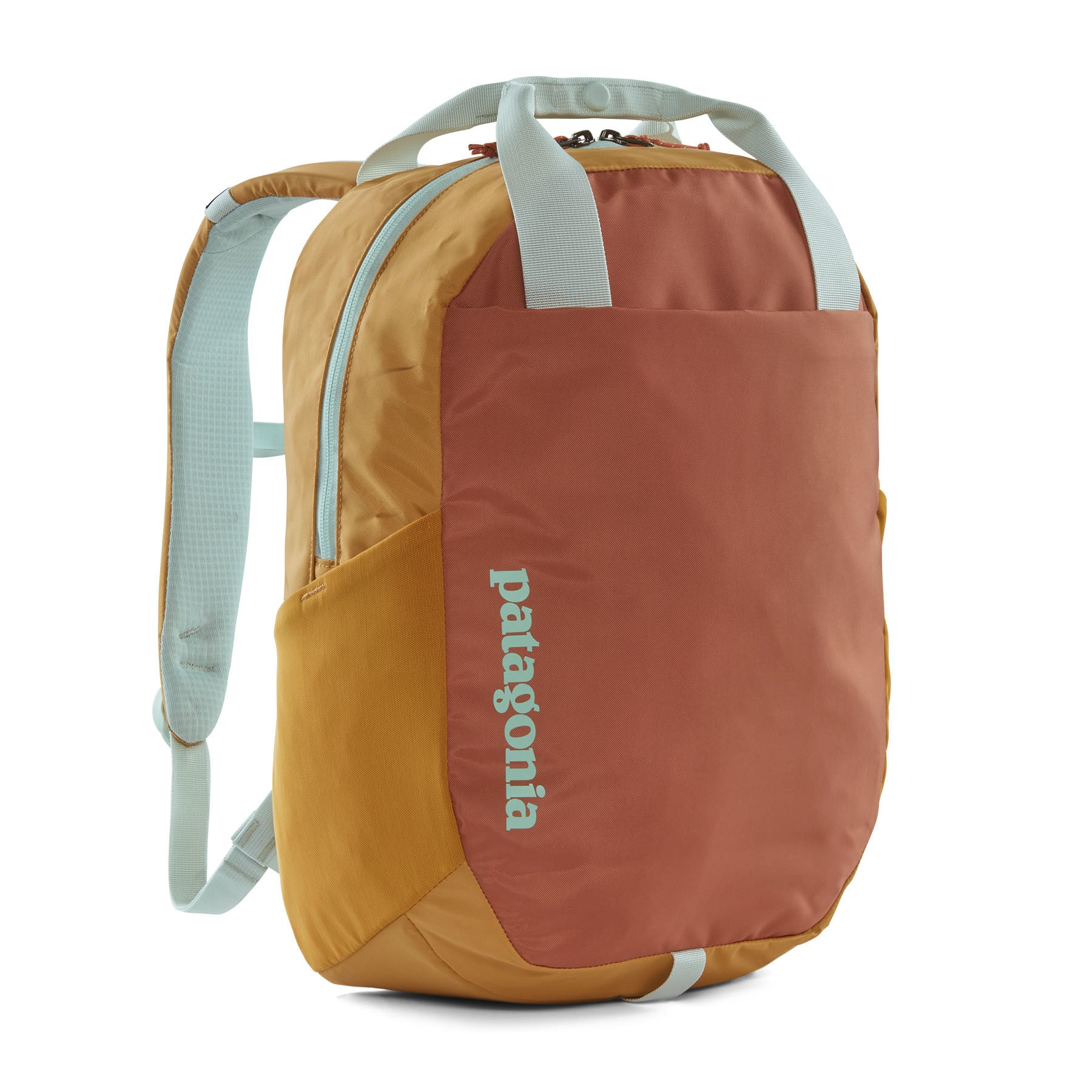 Atom Tote Pack 20L – Patagonia Worn Wear® - Main Image