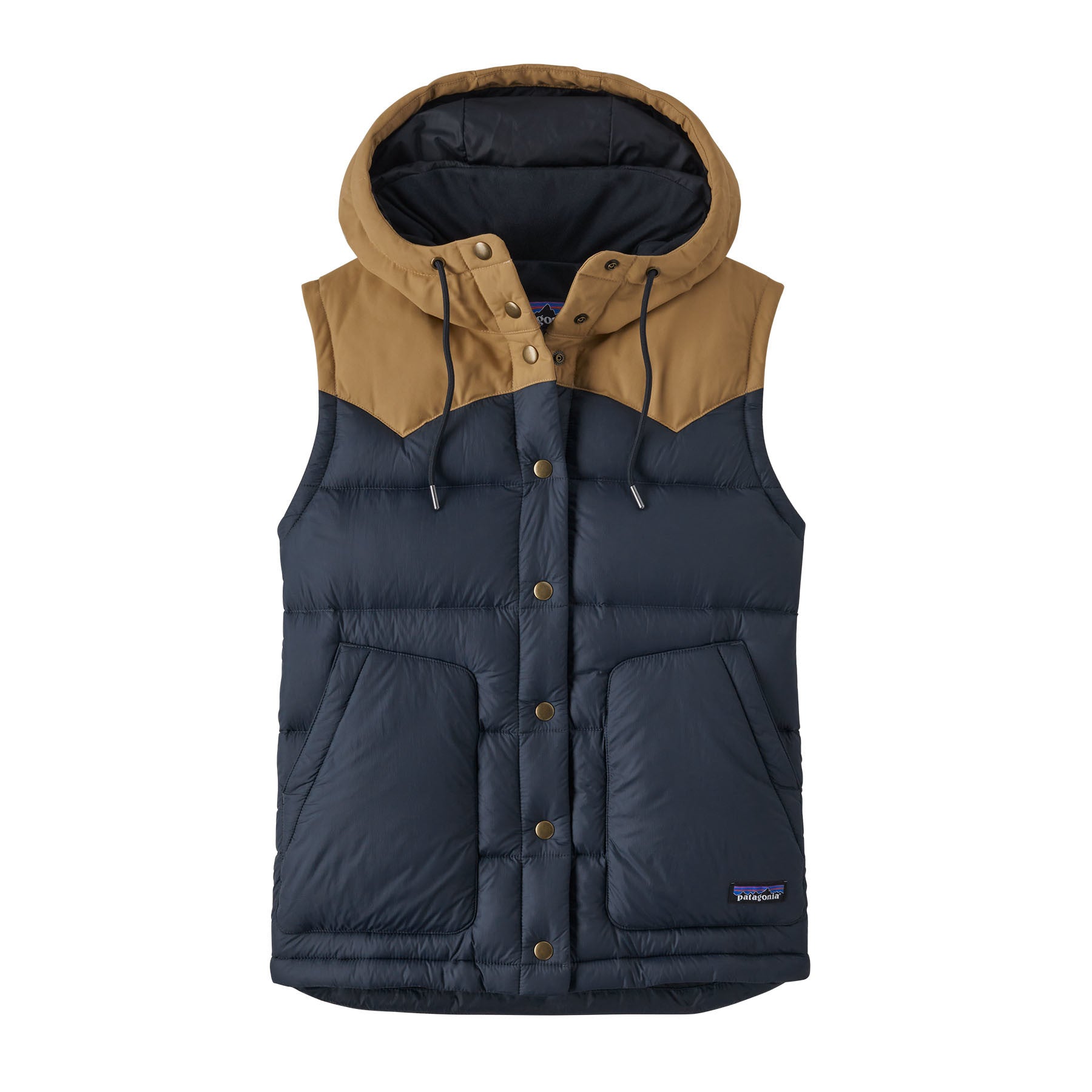 Patagonia women's bivy hooded vest hotsell