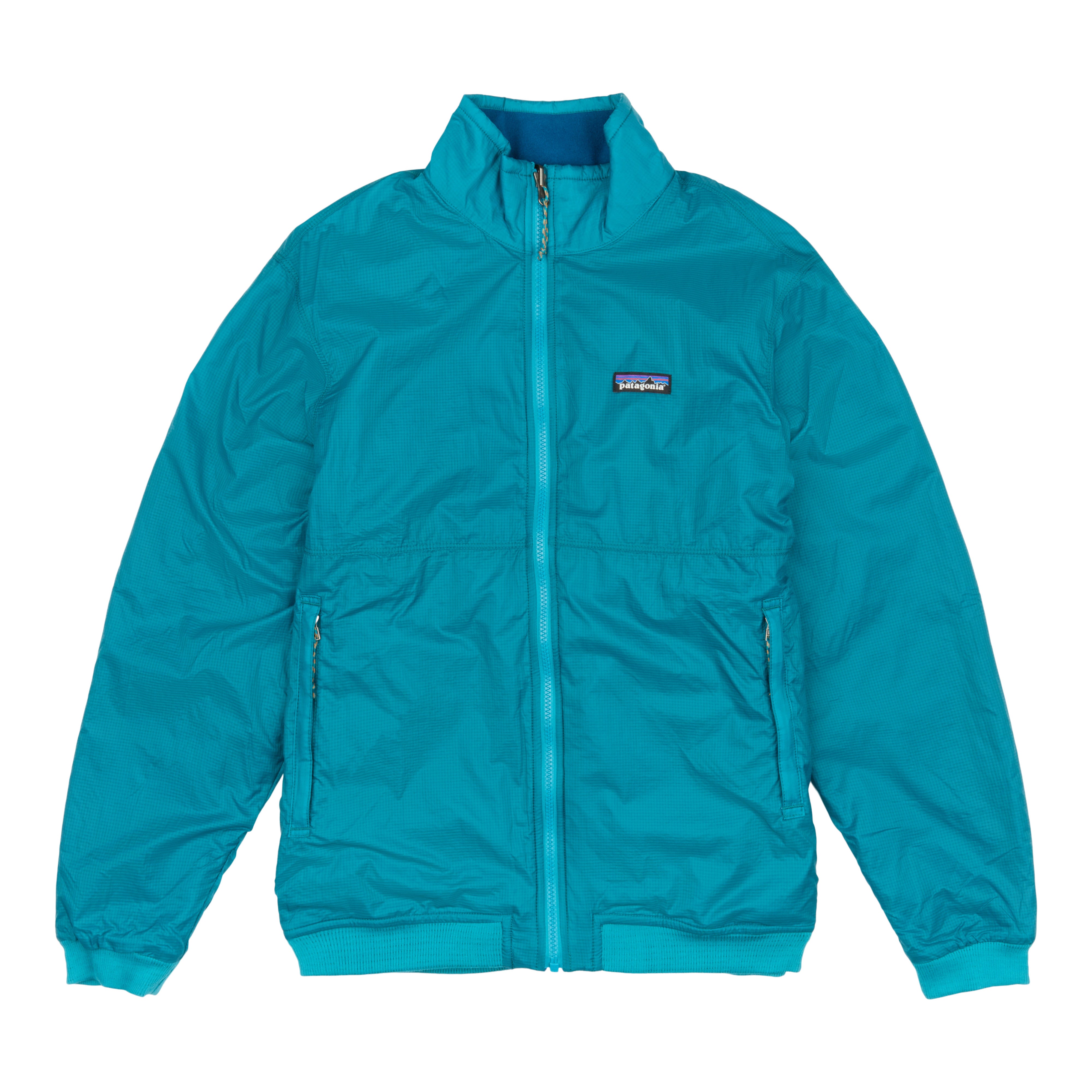 Men's Reversible Shelled Microdini Jacket – Patagonia Worn Wear®