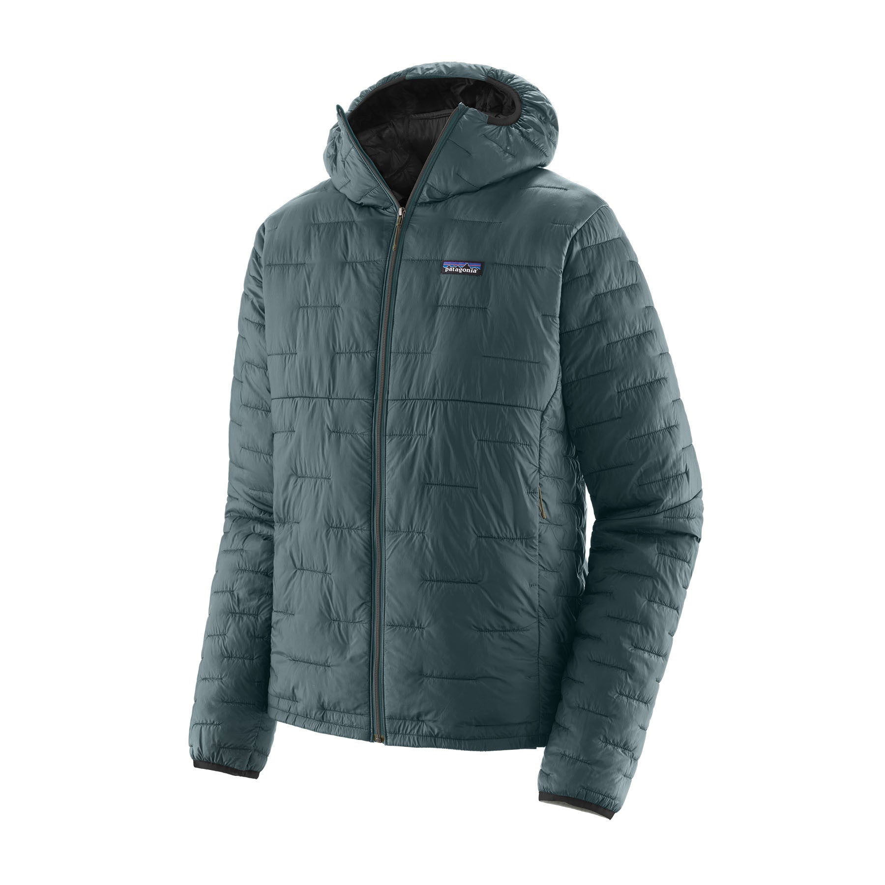 Patagonia Micro Puff Hoody buy Jacket