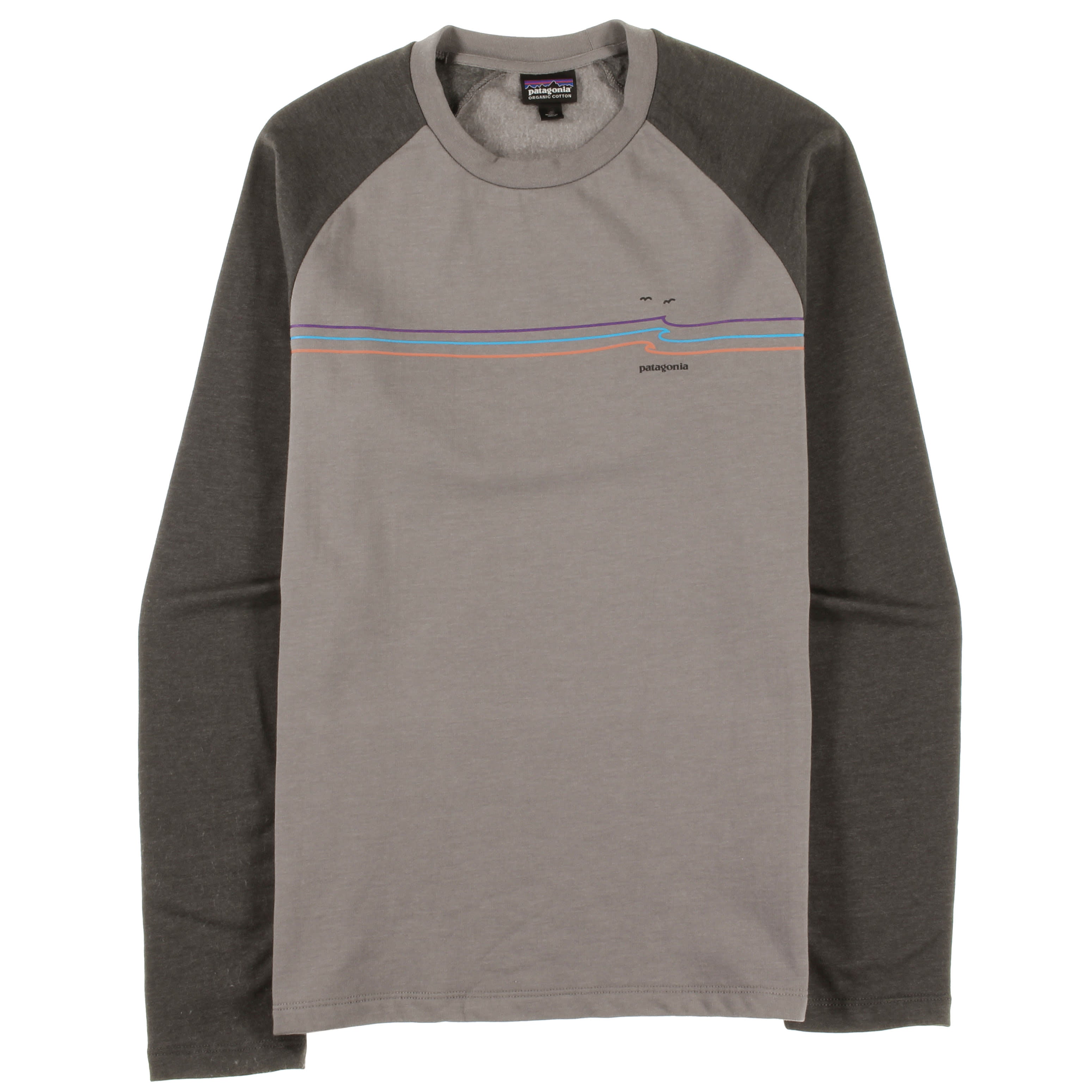 Patagonia men's line logo online ridge lightweight crew sweatshirt